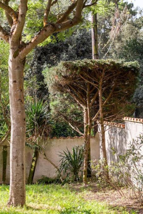 La Maison Des Epinouses, 4 Chambres A 450M De La Plage De Chaucre Saint-Georges-d'Oleron Exterior foto